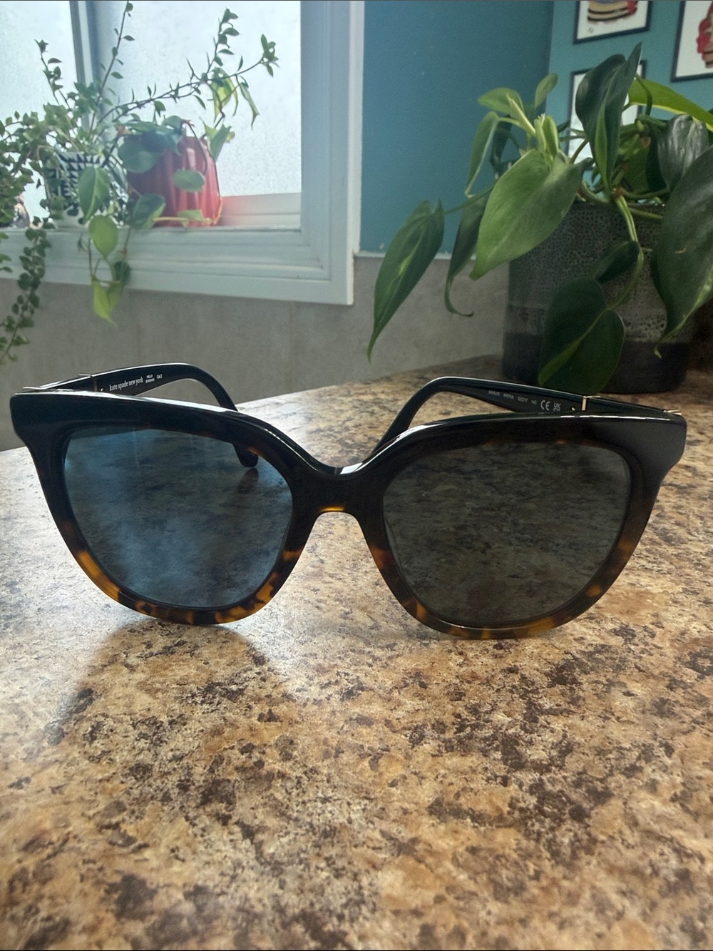 Kate Spade Tortoise Cat-Eye Sunglasses